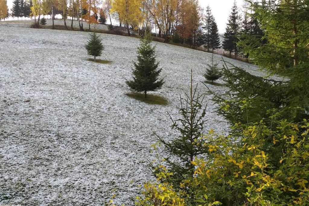 Vila Serar Moieciu de Jos Exteriör bild