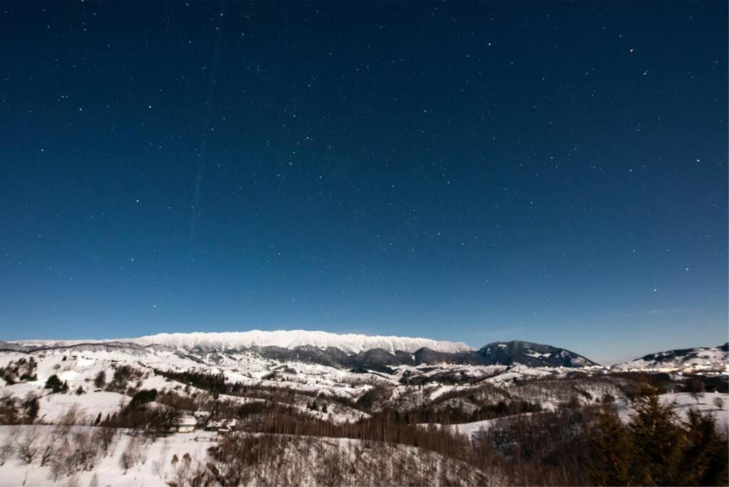 Vila Serar Moieciu de Jos Exteriör bild